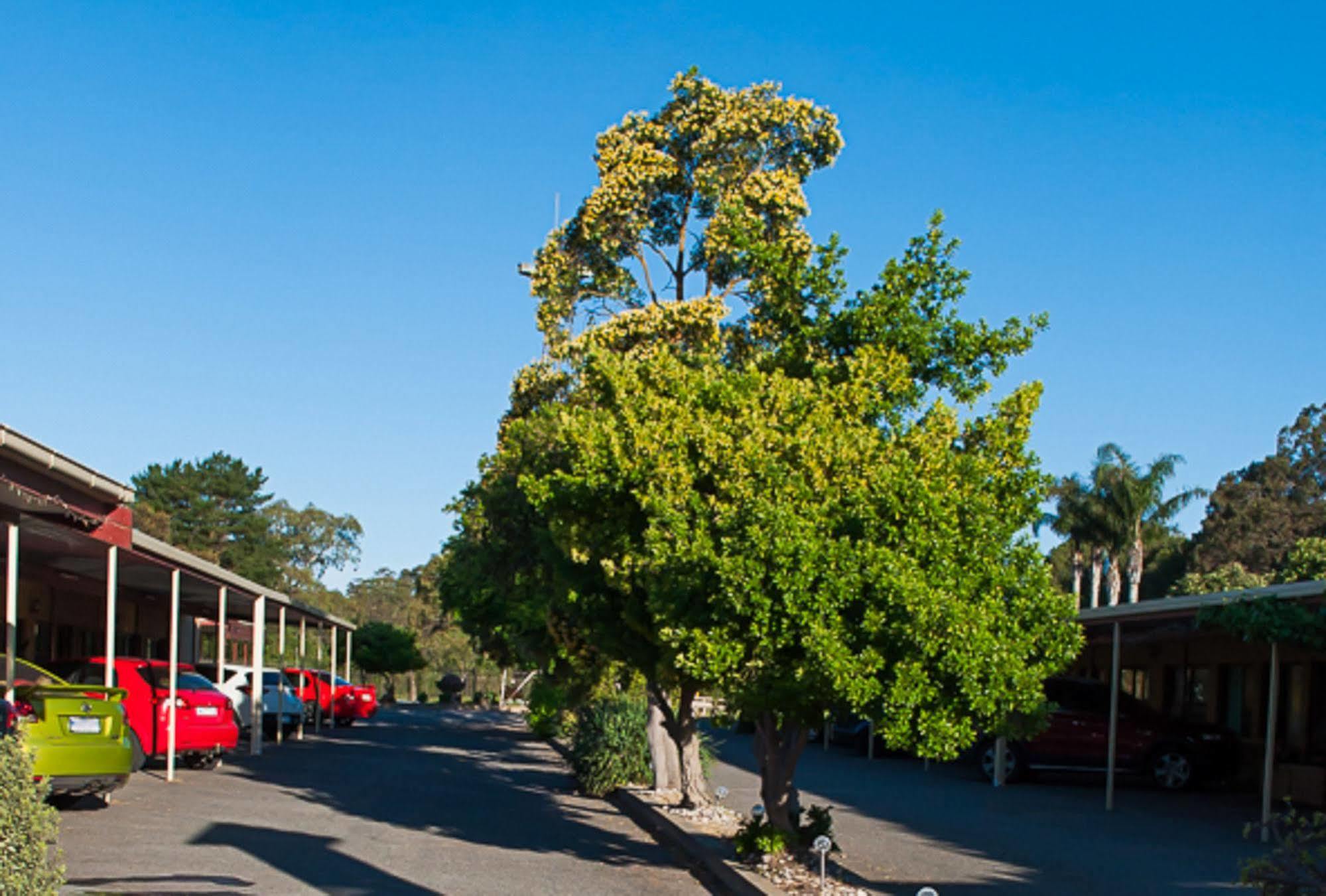 Angaston Vineyards Motel Exterior foto