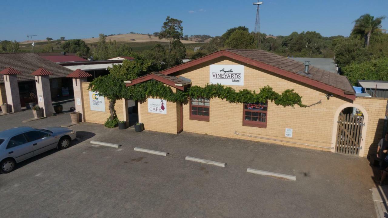 Angaston Vineyards Motel Exterior foto