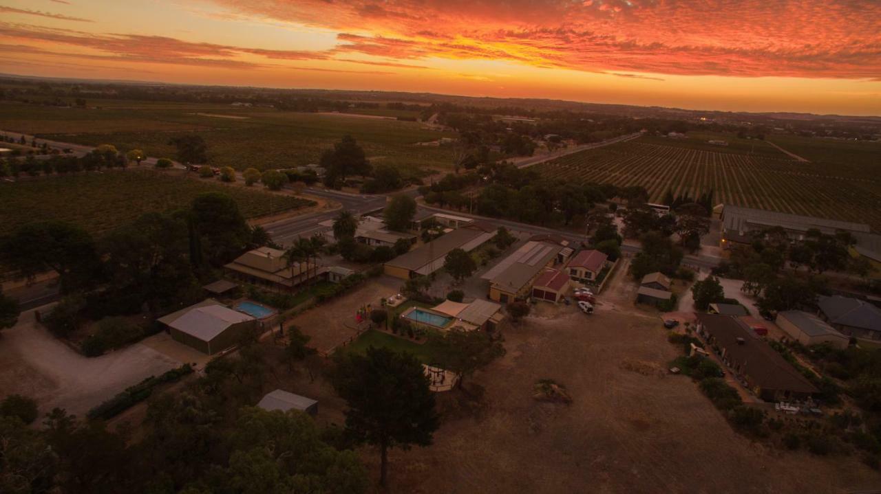 Angaston Vineyards Motel Exterior foto